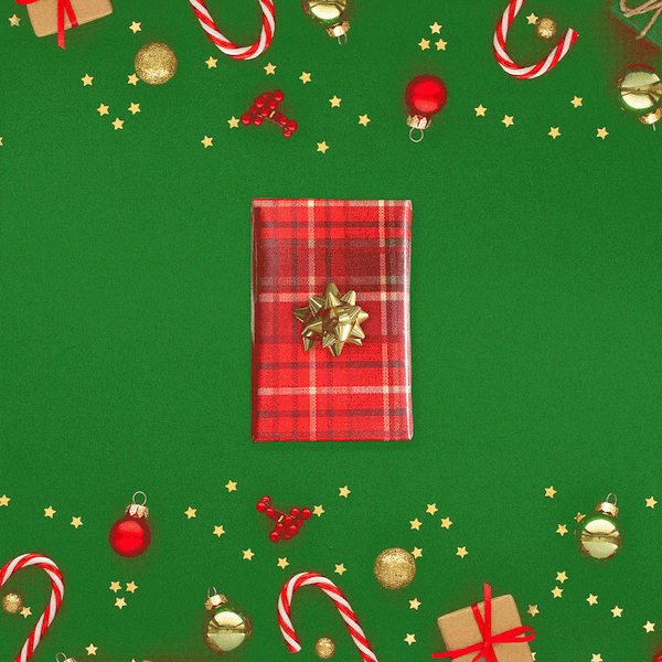 Dolphin Hat card game animated gif social media marketing