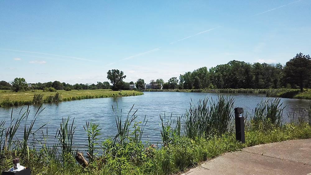 city of Trotwood branding