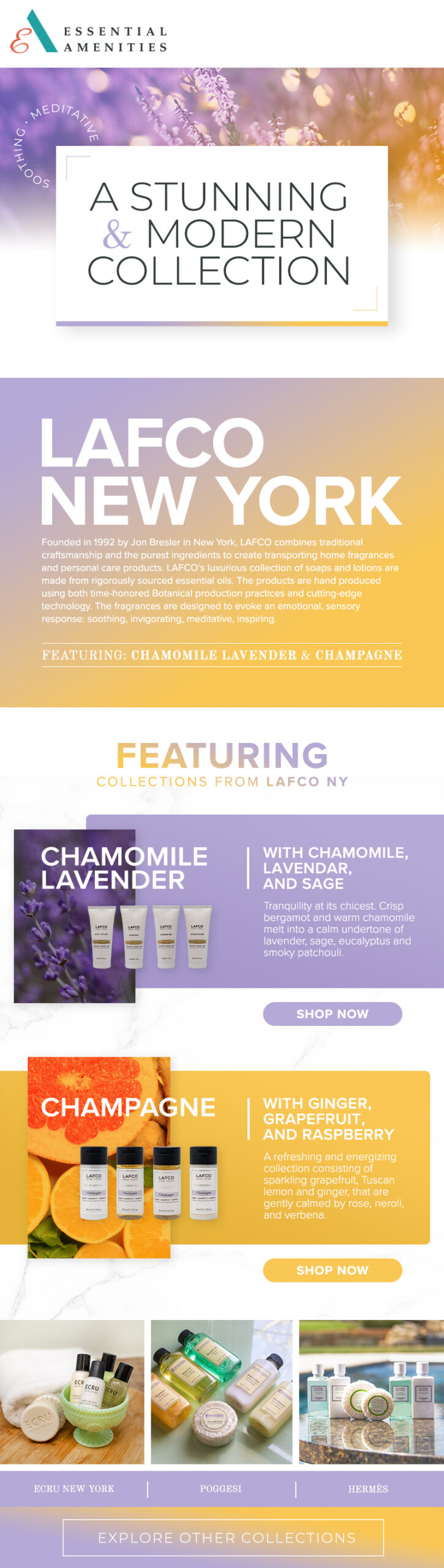 Essential Amenities product email marketing