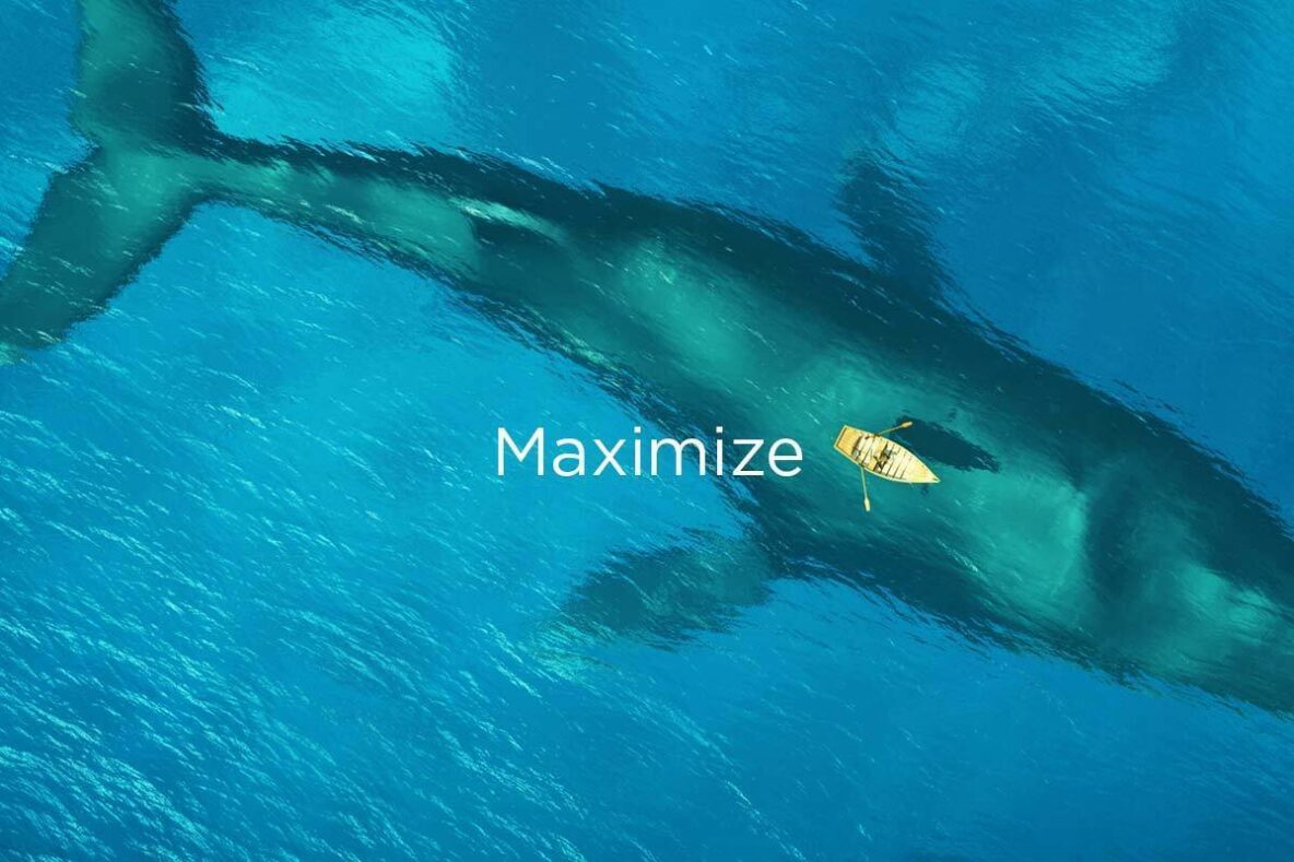 how to maximize your marketing agency investment